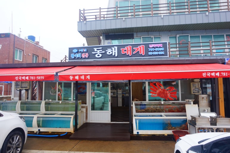 동해회대게수협1호 이미지