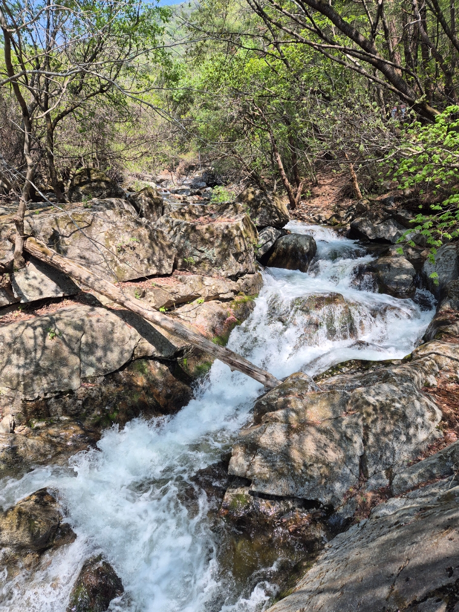 소백산국립공원 초암주차장 이미지