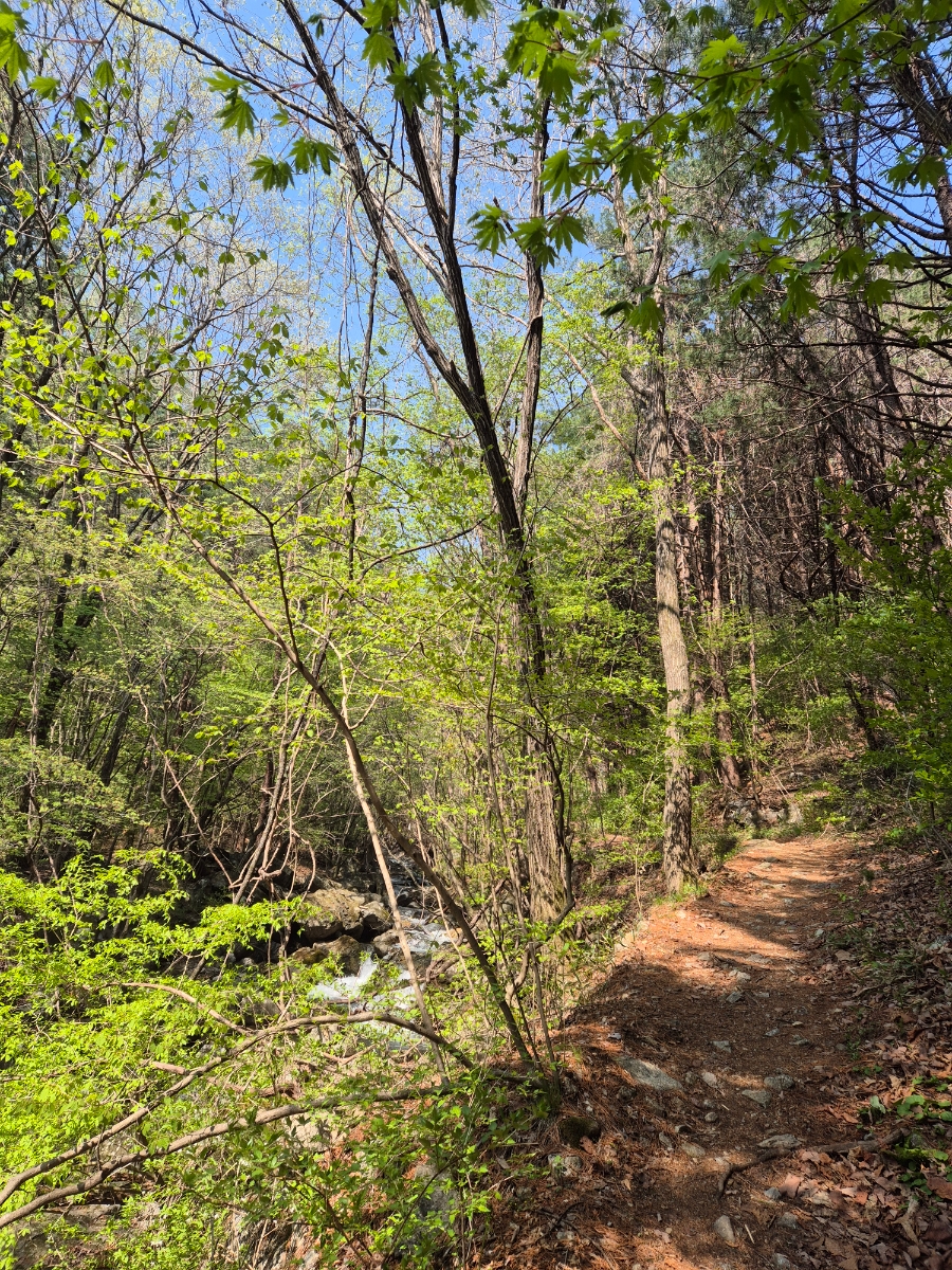 소백산국립공원 초암주차장 이미지