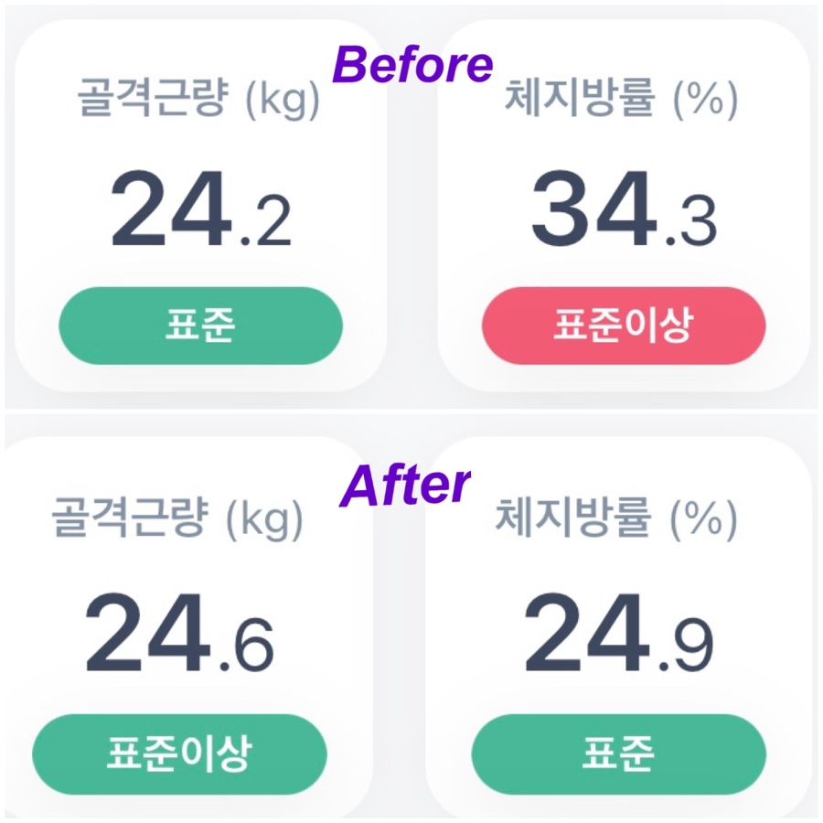 벨트레이닝 이미지