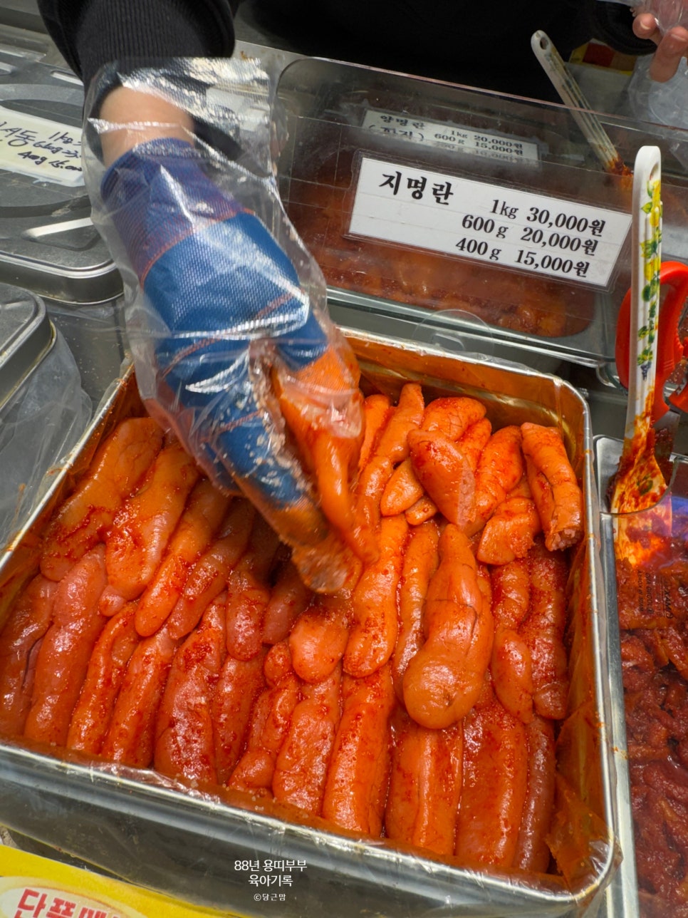 지도(젓갈)수산 이미지