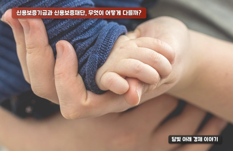 신용인테리어 이미지