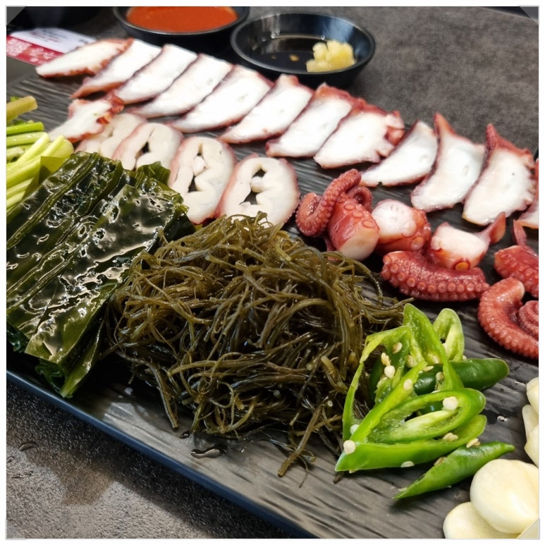 석문어 이미지
