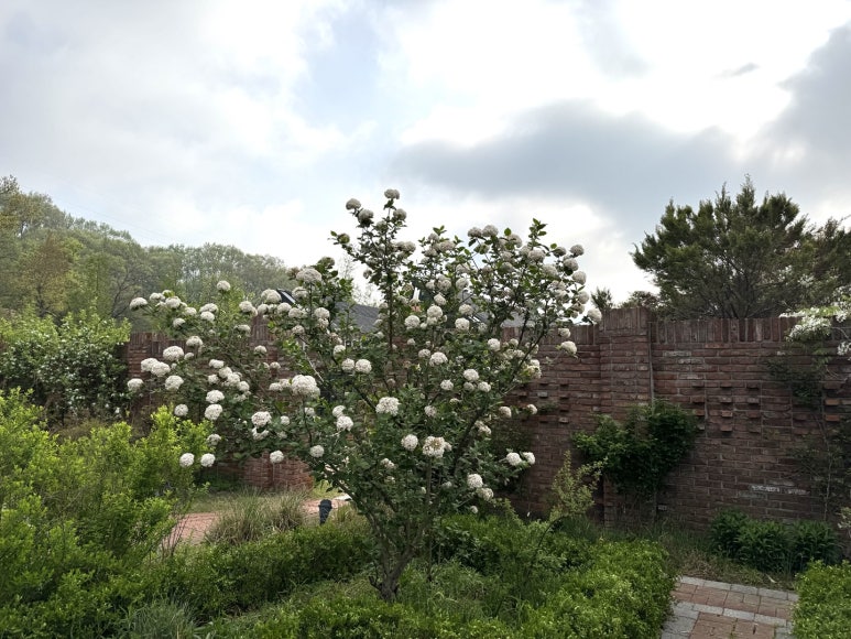 (주)에덴공사 이미지