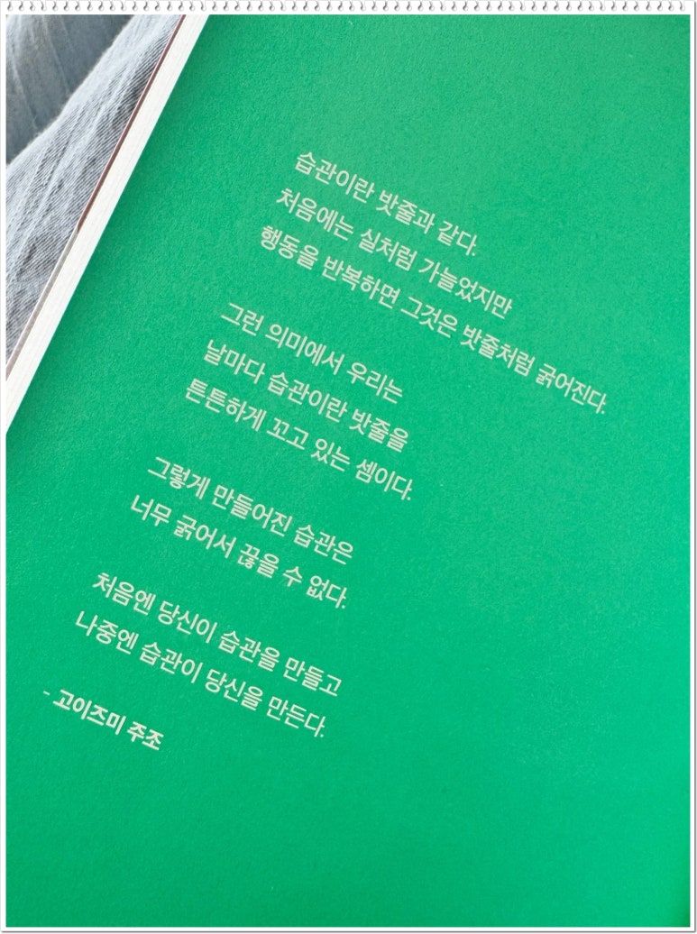 아미서가 이미지