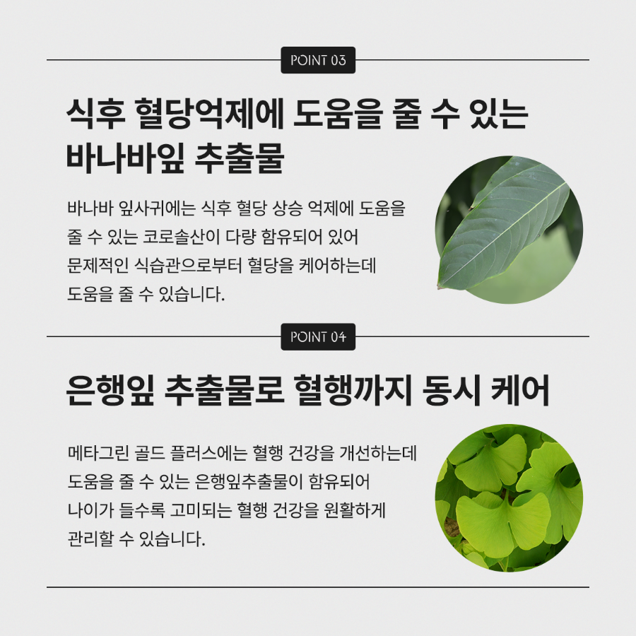 메타플러스 이미지