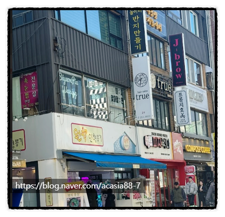 시연피아 이미지