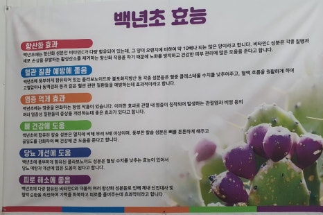 백년초바지락칼국수 이미지