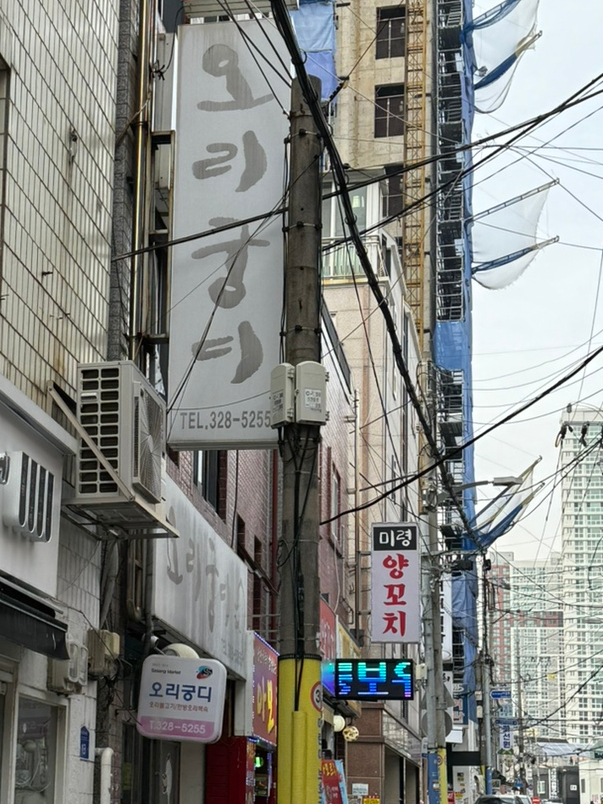 오리궁디 이미지