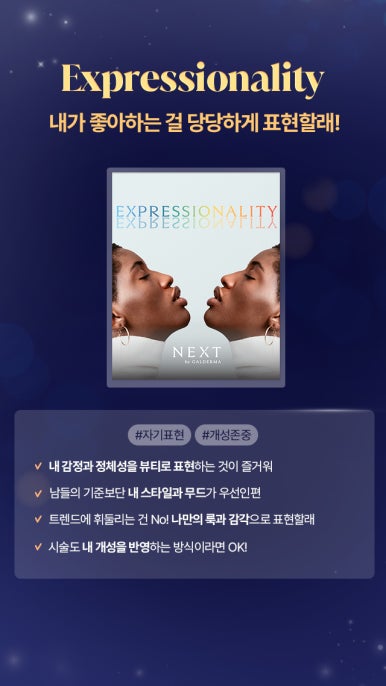 스킨갤러리 이미지