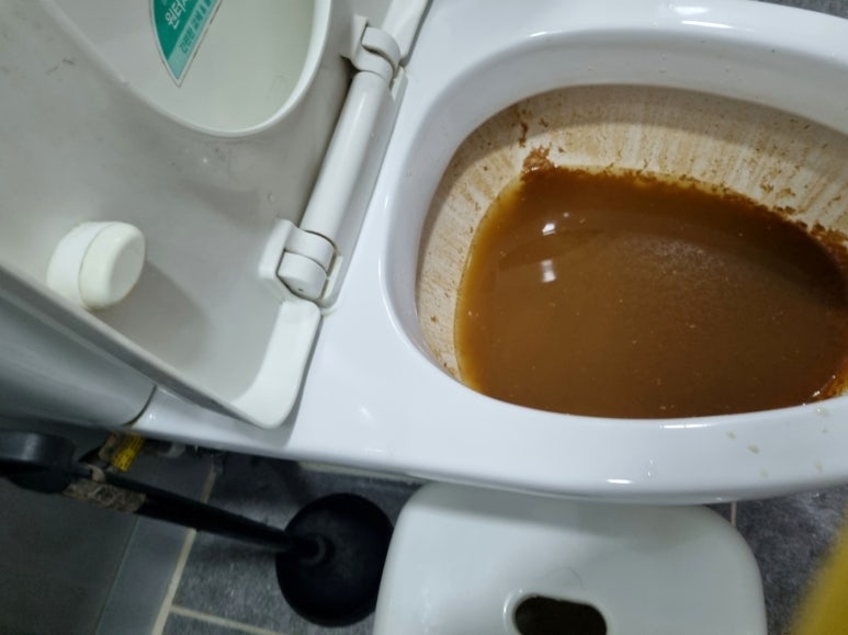 변기막힘 이미지