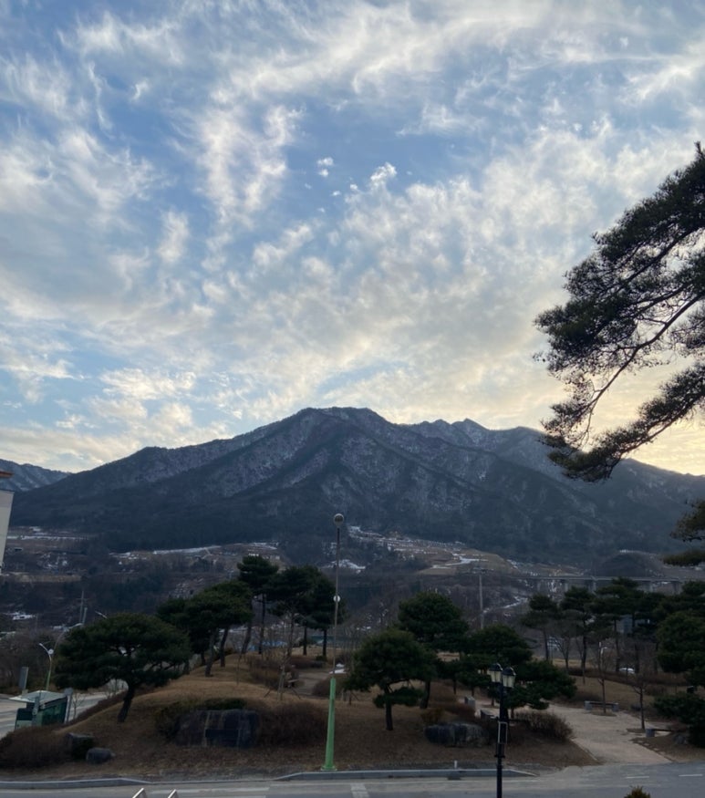 영주닭집 이미지