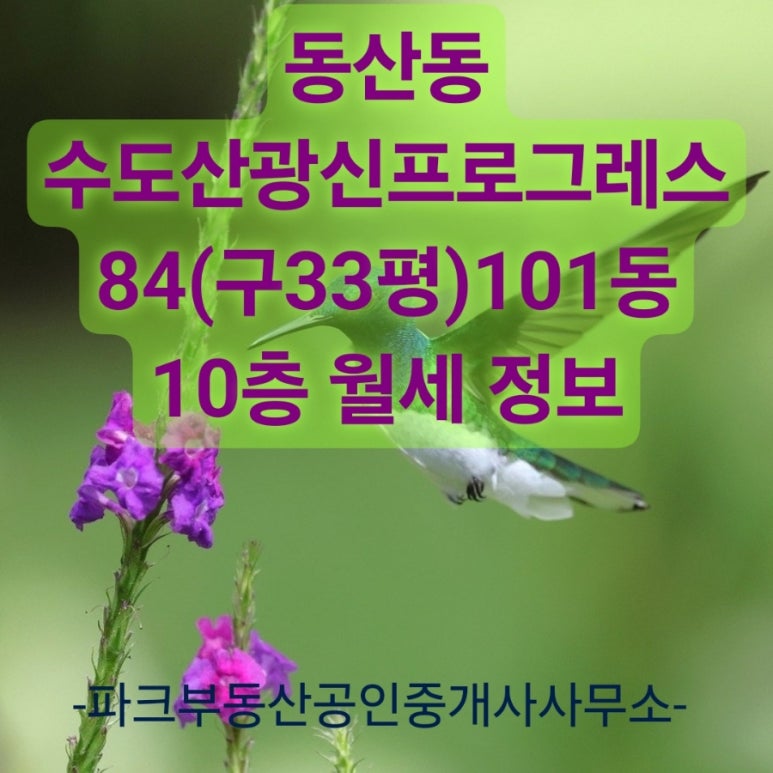 프로그레스101 이미지