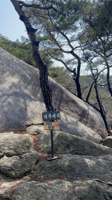 거북산장 이미지