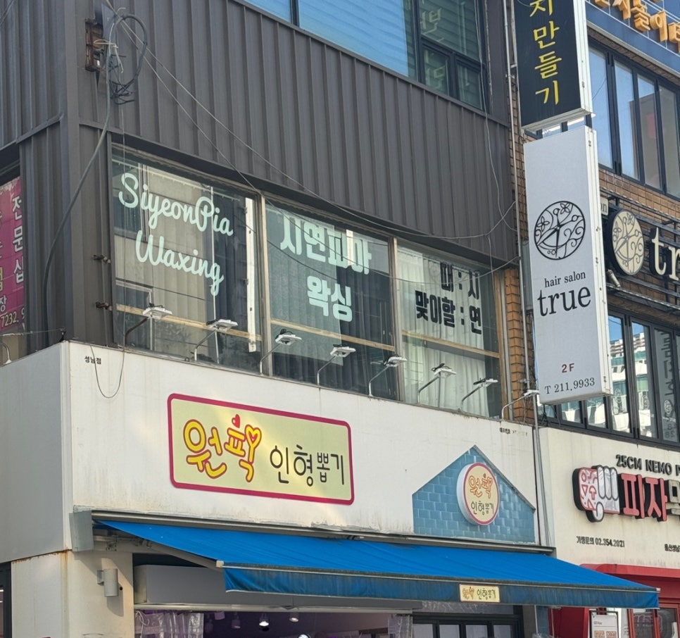 시연피아 이미지