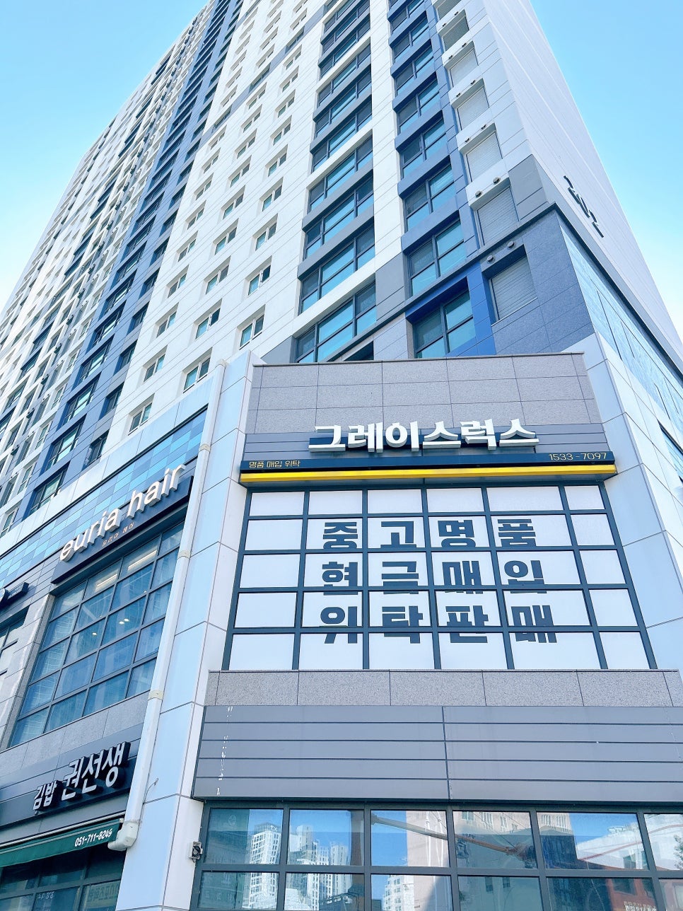 럭스그레이스 이미지