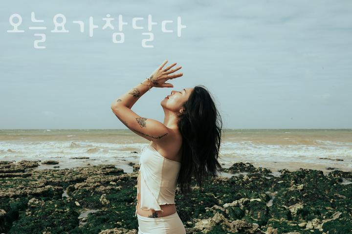 참;달다 이미지