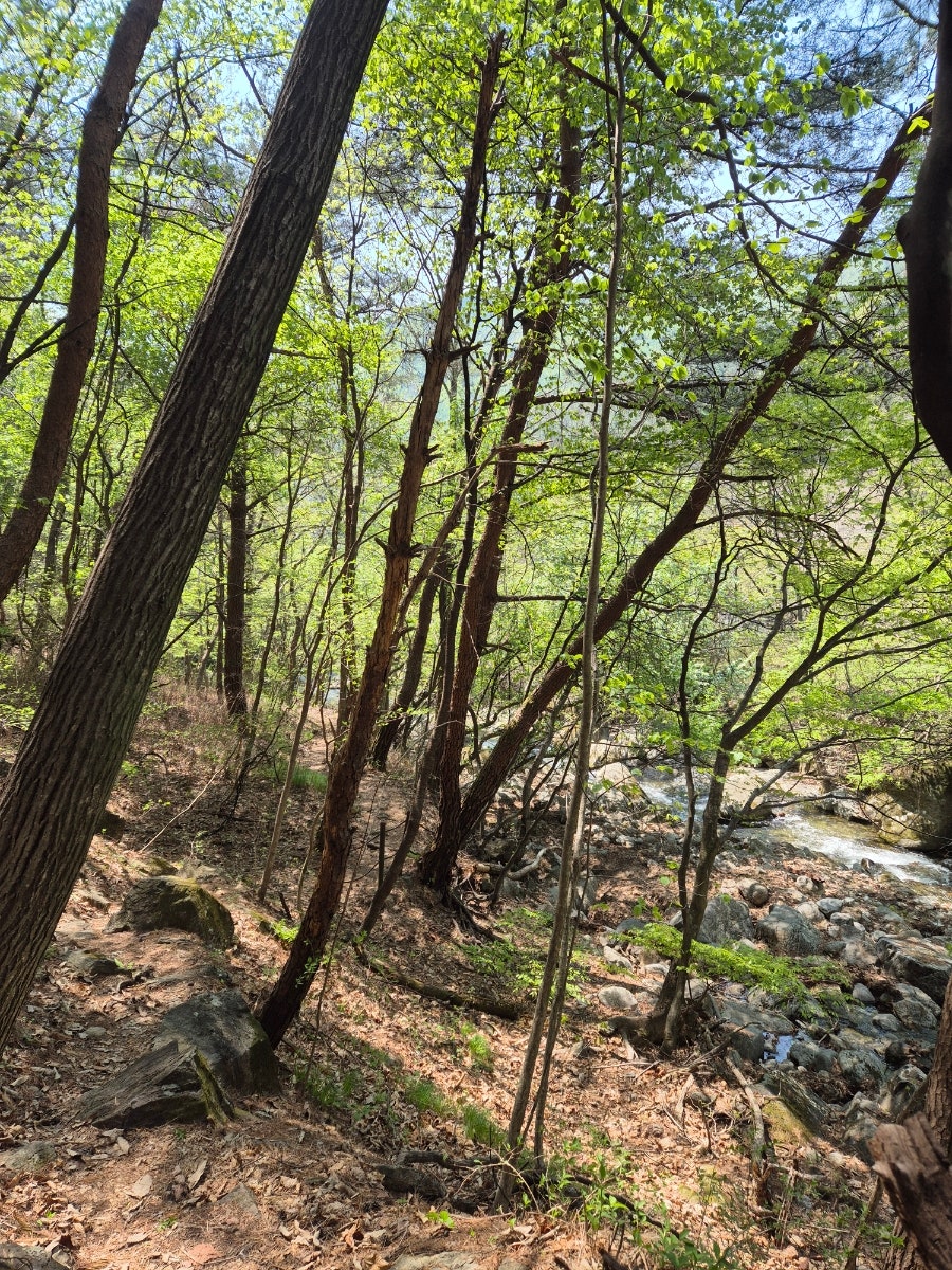 소백산국립공원 초암주차장 이미지