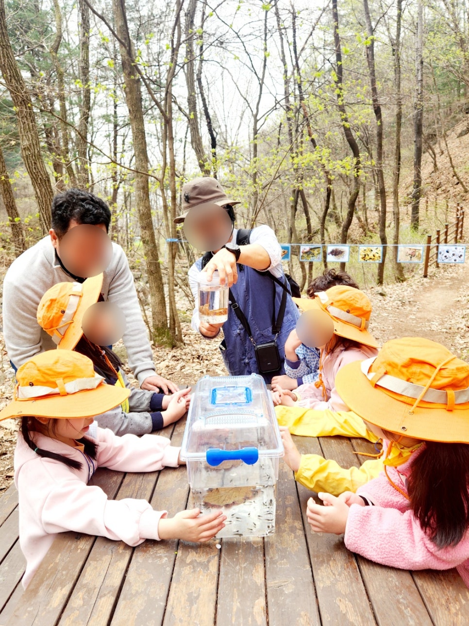 꼬마숲 둥지어린이집 이미지