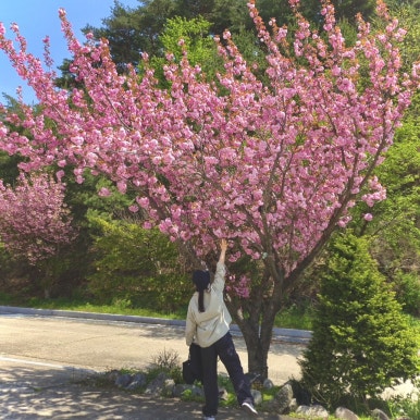 별미순대국전문점 이미지