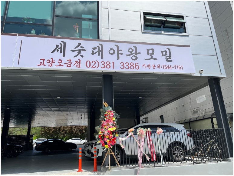 금화왕돈까스고양 이미지
