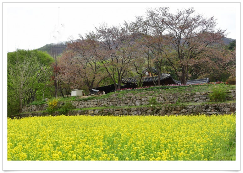 신안사 이미지