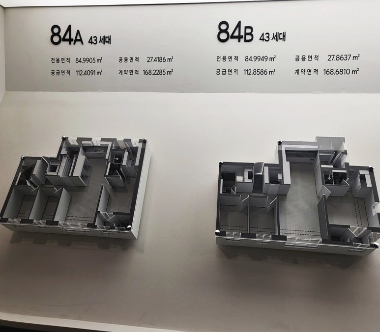 라디체 이미지