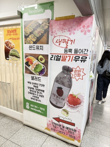 샌디샐리 이미지