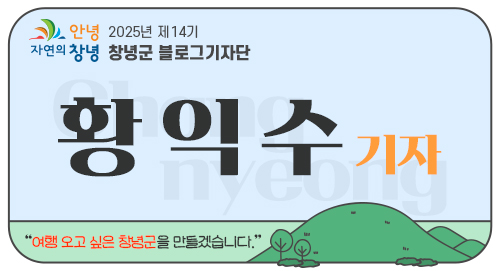 보나베티 이미지
