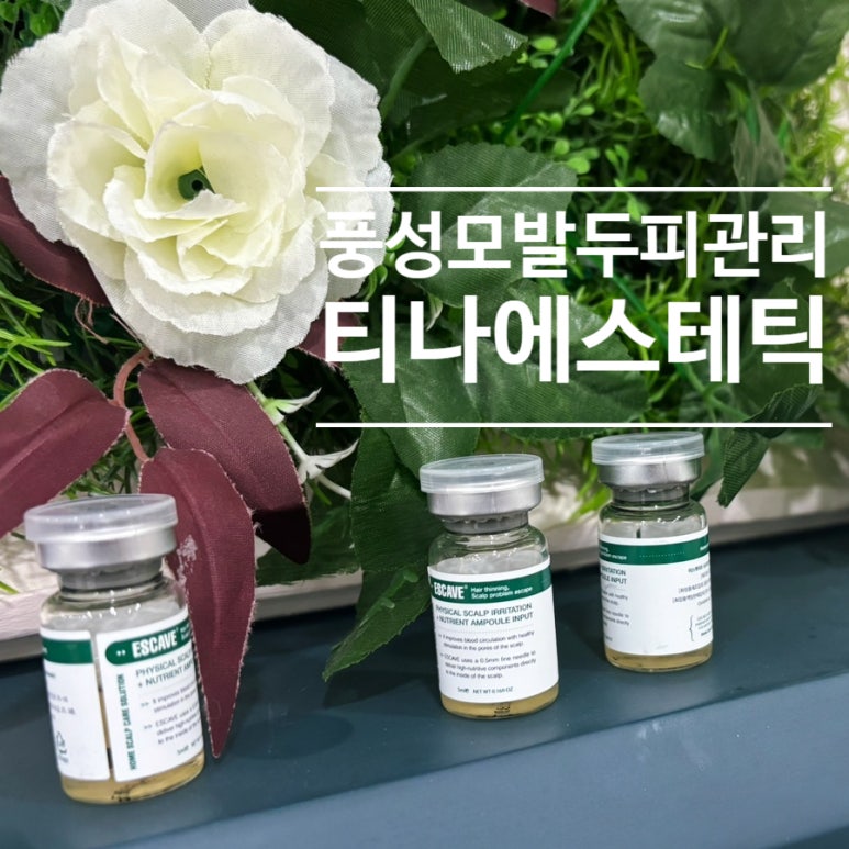 티나 에스테틱 이미지