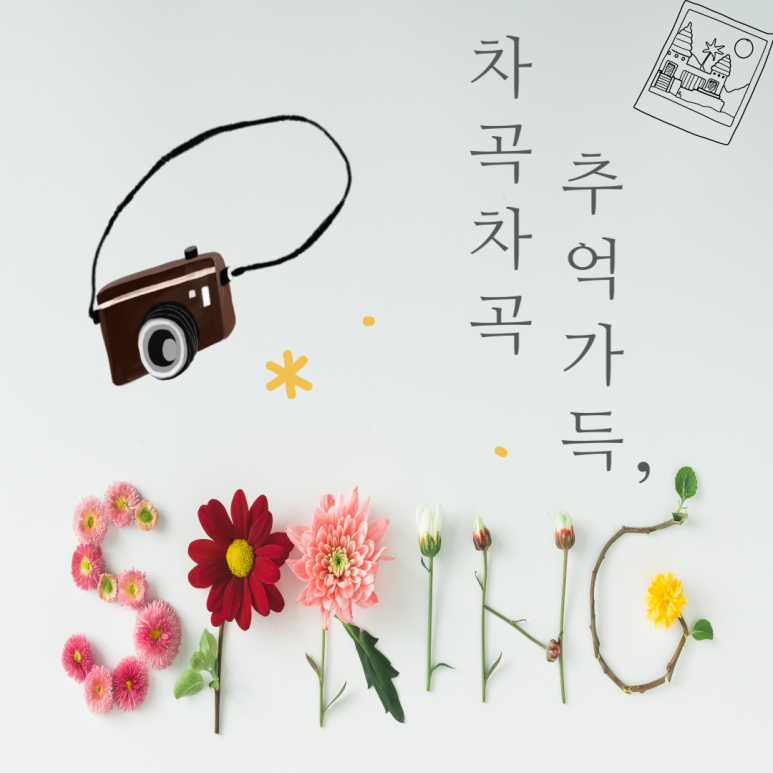 봄 꽃길김밥 이미지
