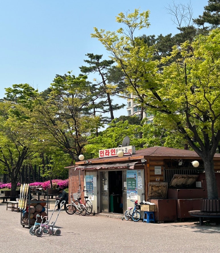 여의도공원인라인대여소 이미지