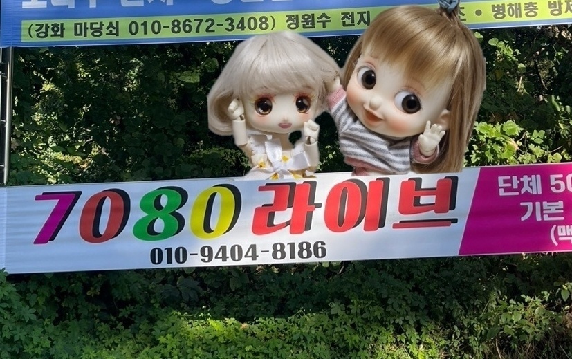 소라7080라이브 이미지