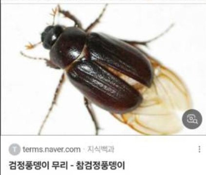 마카로또 이미지