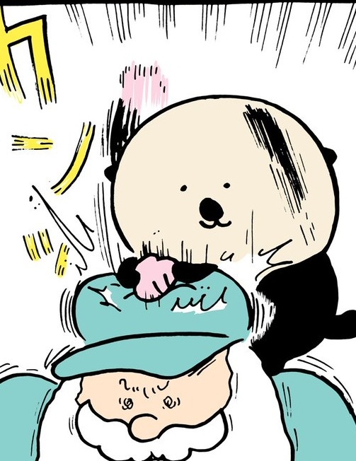홍대 수족관 이미지