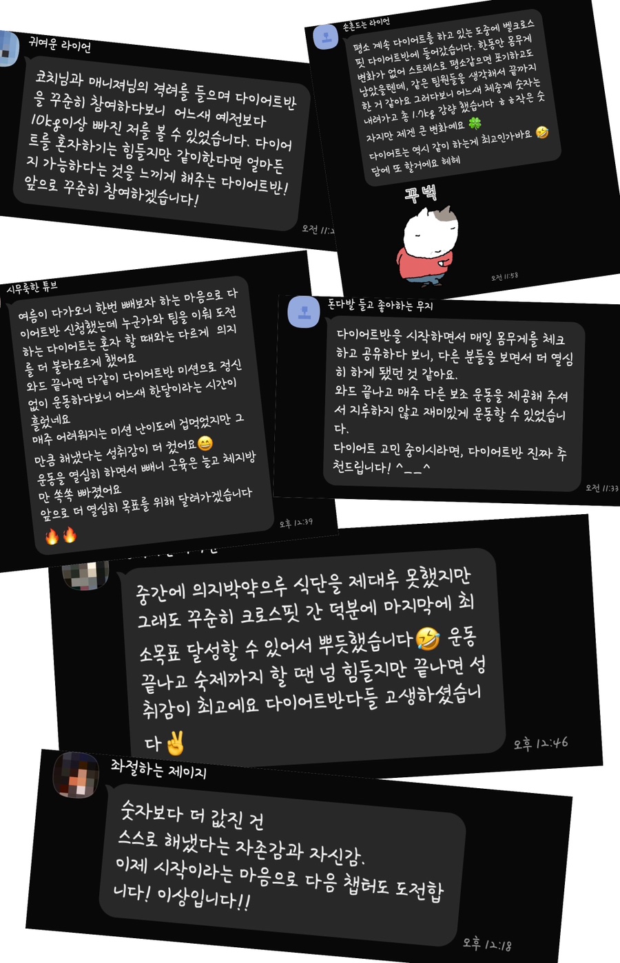 벨트레이닝 이미지