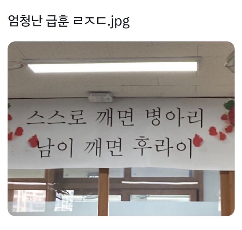 남궁 이미지