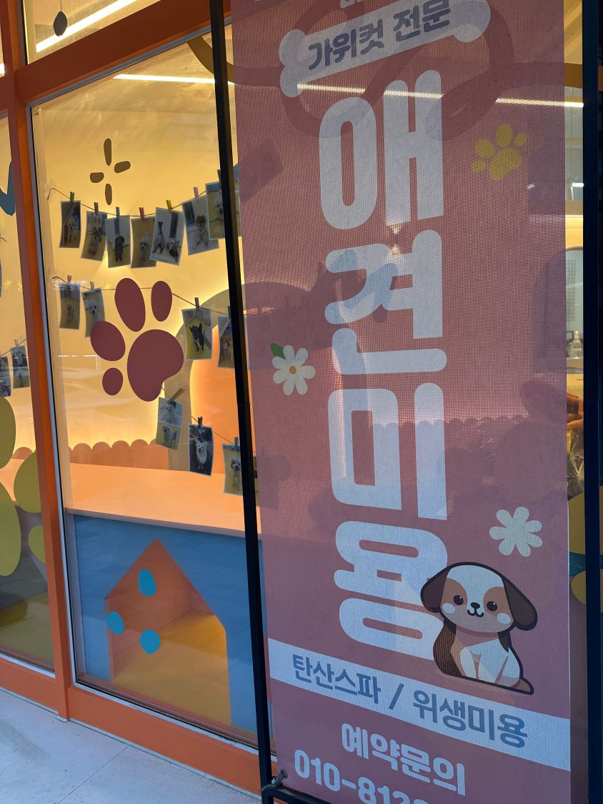 부천 애견호텔 멍미, 24시간 안심 케어 후기 — 사진 2
