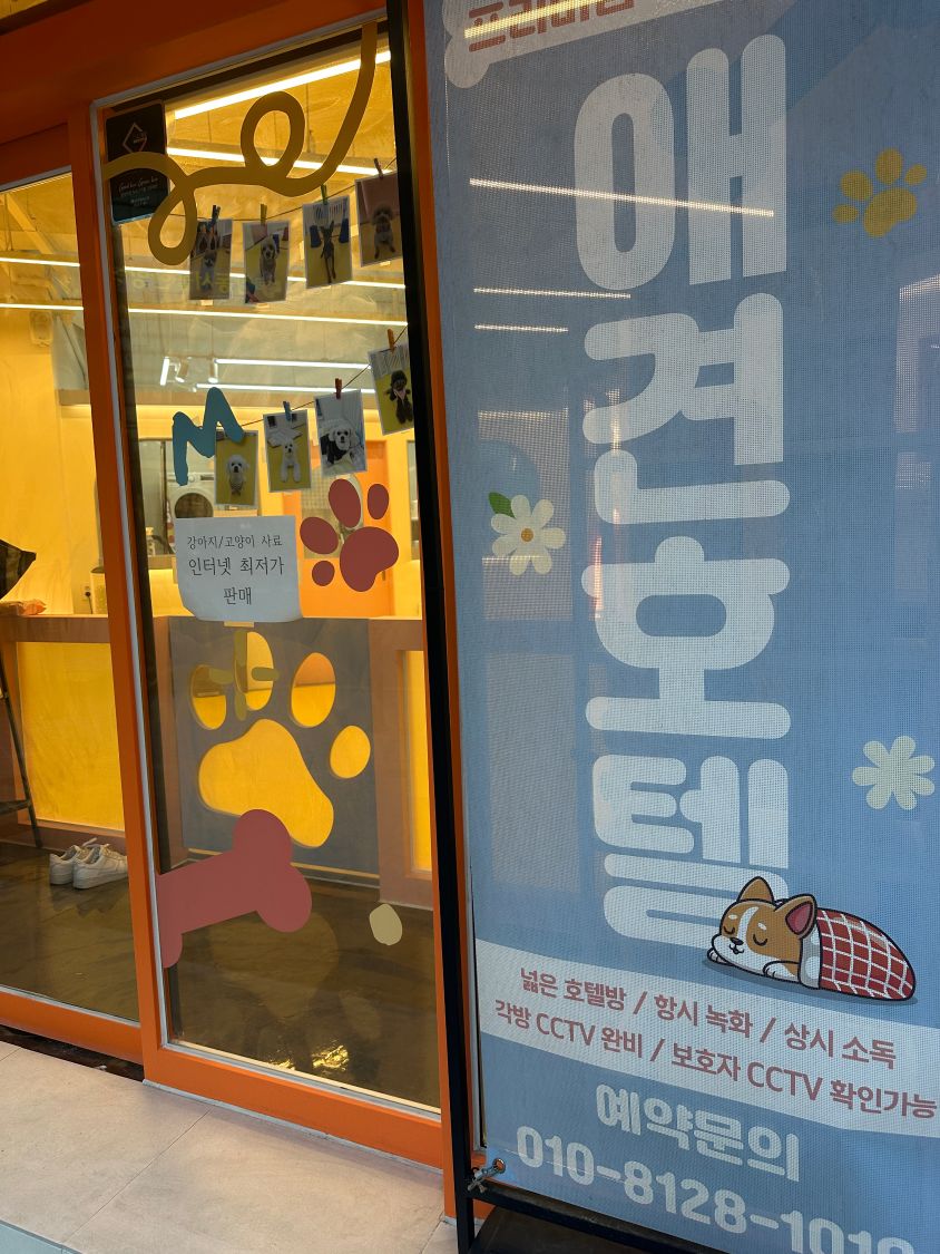 부천 애견호텔 멍미, 24시간 안심 케어 후기 — 사진 3