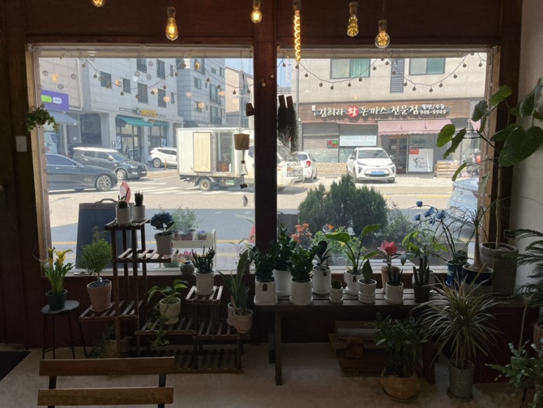 지따플라워 이미지