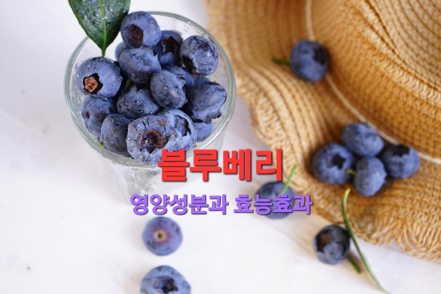 하나푸드 이미지