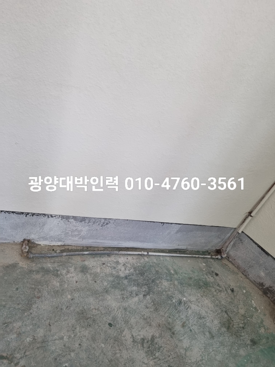 대박인력 이미지