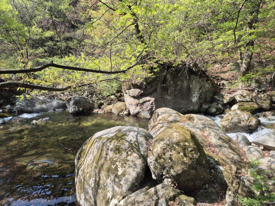 소백산국립공원 초암주차장 이미지