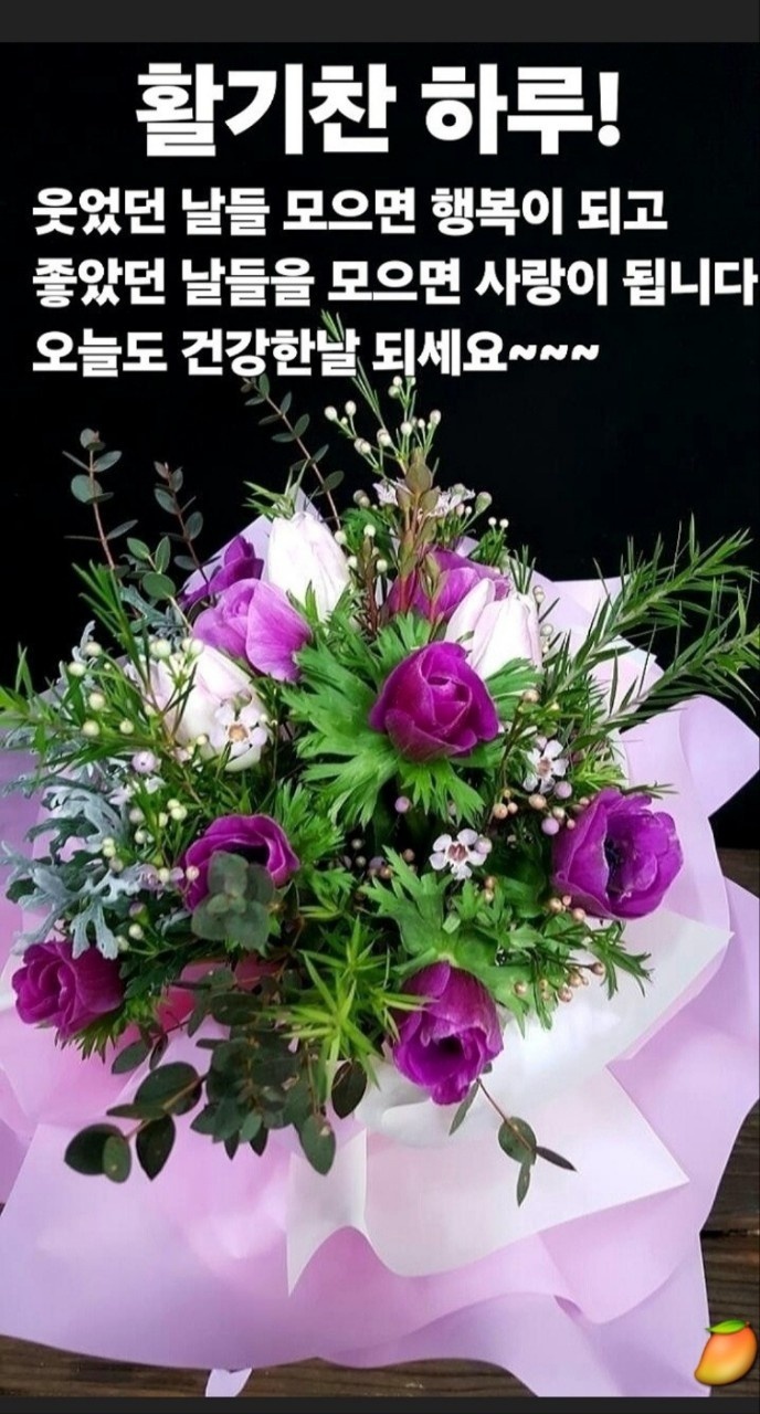 관악정육점 이미지