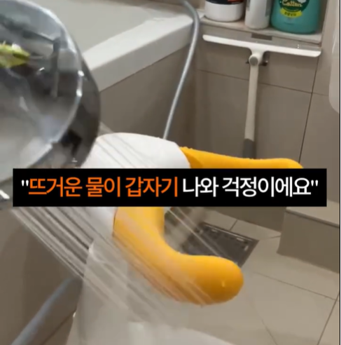 안심에스엘 이미지