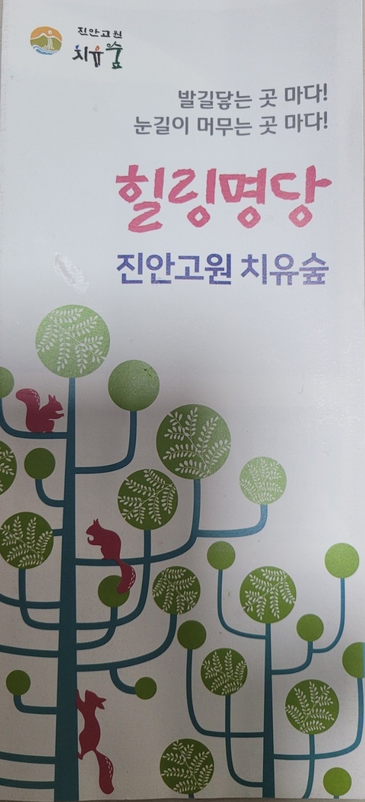 전북권환경성질환치유센터진안고원치유숲 이미지