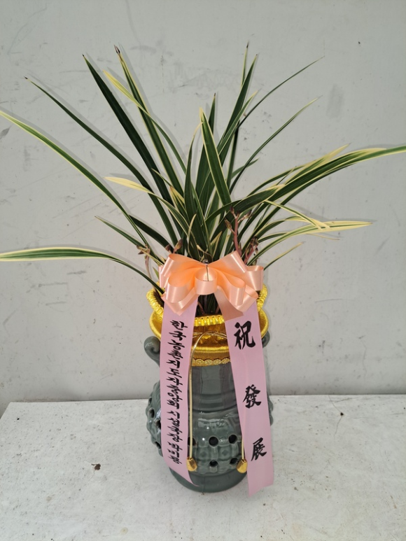 웰빙플라워 이미지