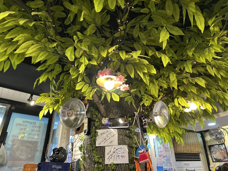 바다회어시장 이미지