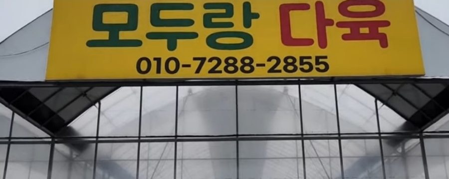 모두랑다육 이미지