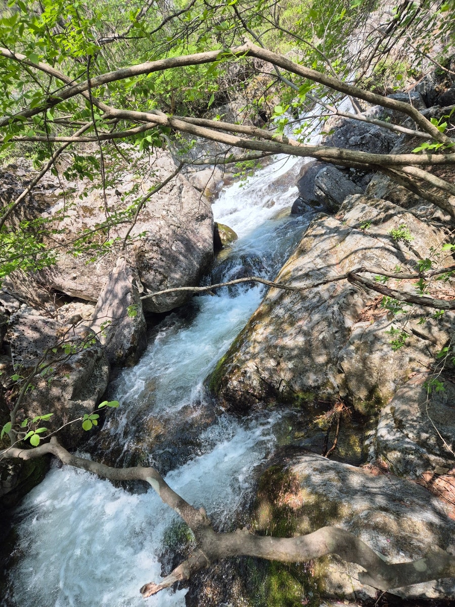 소백산국립공원 초암주차장 이미지